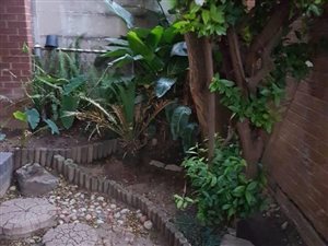 3 Bed Townhouse in Bellavista South