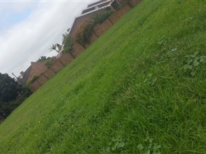 1000 m² Land available in Rooirivierrif