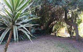 1 Bedroom Garden Cottage in Northcliff