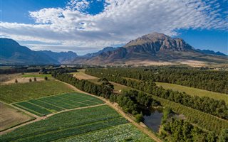 71 ha Farm in Wolseley