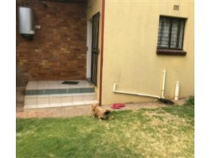 1 Bed House in Kensington