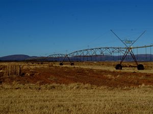 560 ha Farm in Alma