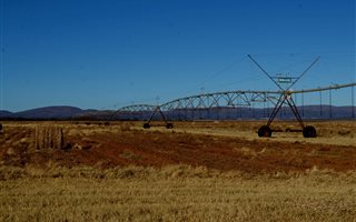 560 ha Farm in Alma