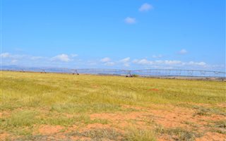 560 ha Farm in Alma