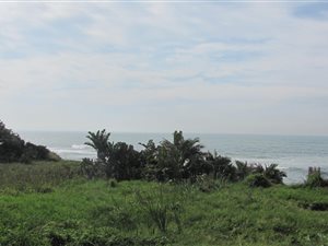 1558 m² Land available in Palm Beach