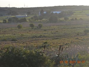 254 ha Farm in Humansdorp