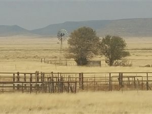 1282.9 ha Farm in Fauresmith
