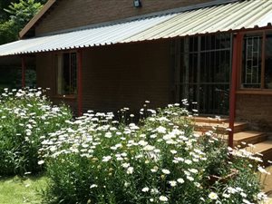 16 ha Farm in Newcastle Central