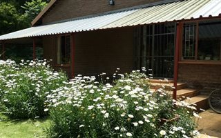 16 ha Farm in Newcastle Central