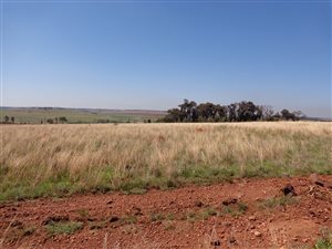 718.7 ha Farm in Grootfontein Estate