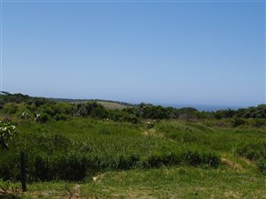 1152 m² Land available in Hawaan Forest Estate