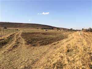 1 ha Land available in Witbank Central