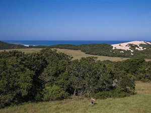 830 m² Land available in Kenton-on-Sea
