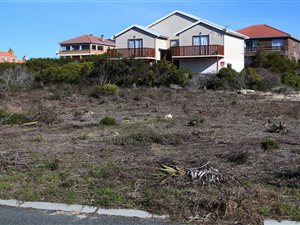 656 m² Land available in Struisbaai