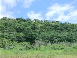 19 ha Farm in Craigieburn