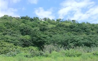 19 ha Farm in Craigieburn