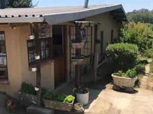 2 Bed House in Rosetta
