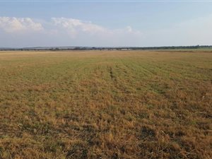 51.4 ha Farm in Kungwini Country Estate