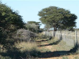 Game Farm in Tosca