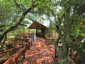 21 ha Farm in Hoedspruit