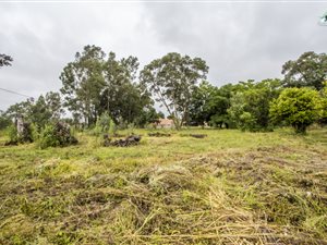 2624 m² Land available in Dannhauser
