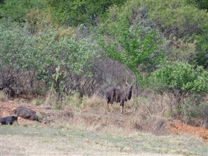 1000 m² Land available in Waterlake Farm