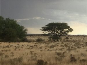 2200 ha Farm in Luckhoff