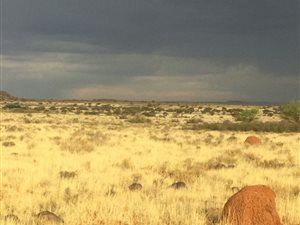 2200 ha Farm in Luckhoff