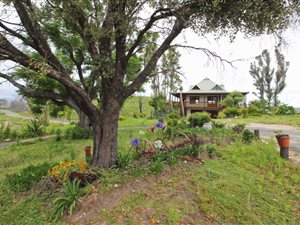 14.7 ha Farm in Rheenendal