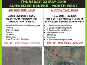 19.9 ha Farm in Schweizer Reyneke