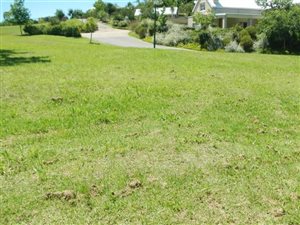 915 m² Land available in Heather Park