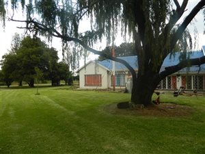 54 ha Farm in Witbank Central