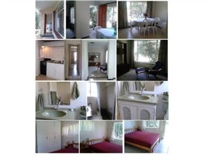 1 Bedroom Garden Cottage in Meadowbrook