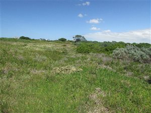 1186 m² Land available in St Francis Links