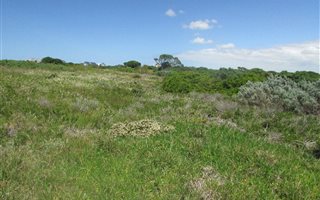 1186 m² Land available in St Francis Links