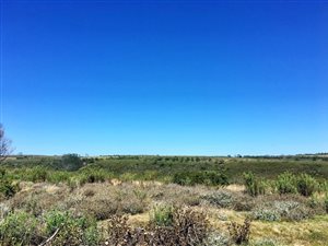 300 m² Land available in Gondwana Game Reserve