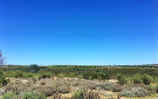 300 m² Land available in Gondwana Game Reserve