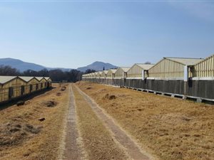 11.2 ha Farm in Lanseria and surrounds
