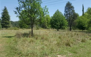 2.2 ha Land available in Rosetta