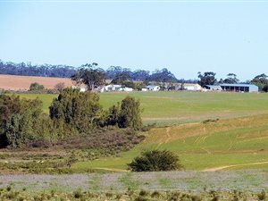 750 ha Farm in Piketberg
