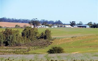 750 ha Farm in Piketberg
