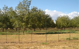 110 ha Farm in Hartswater