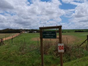 17 ha Farm in Riviersonderend