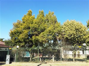 5 Bed House in Hazelwood