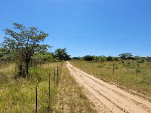 24.7 ha Farm in Vaalwater
