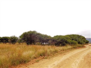 8.4 ha Land available in Pienaarspoort
