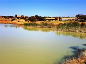 11.5 ha Smallholding in Kameeldrift