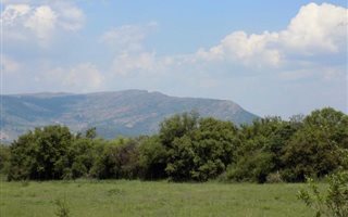 120 ha Farm in Olifantsnek