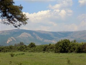 120 ha Farm in Olifantsnek