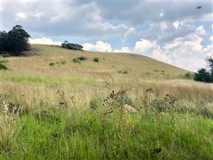11490 ha Land available in Bronkhorstfontein